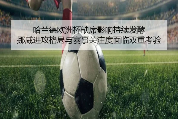 哈兰德欧洲杯缺席影响持续发酵 挪威进攻格局与赛事关注度面临双重考验 - dbdianzi